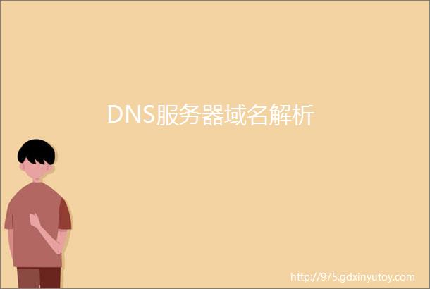 DNS服务器域名解析